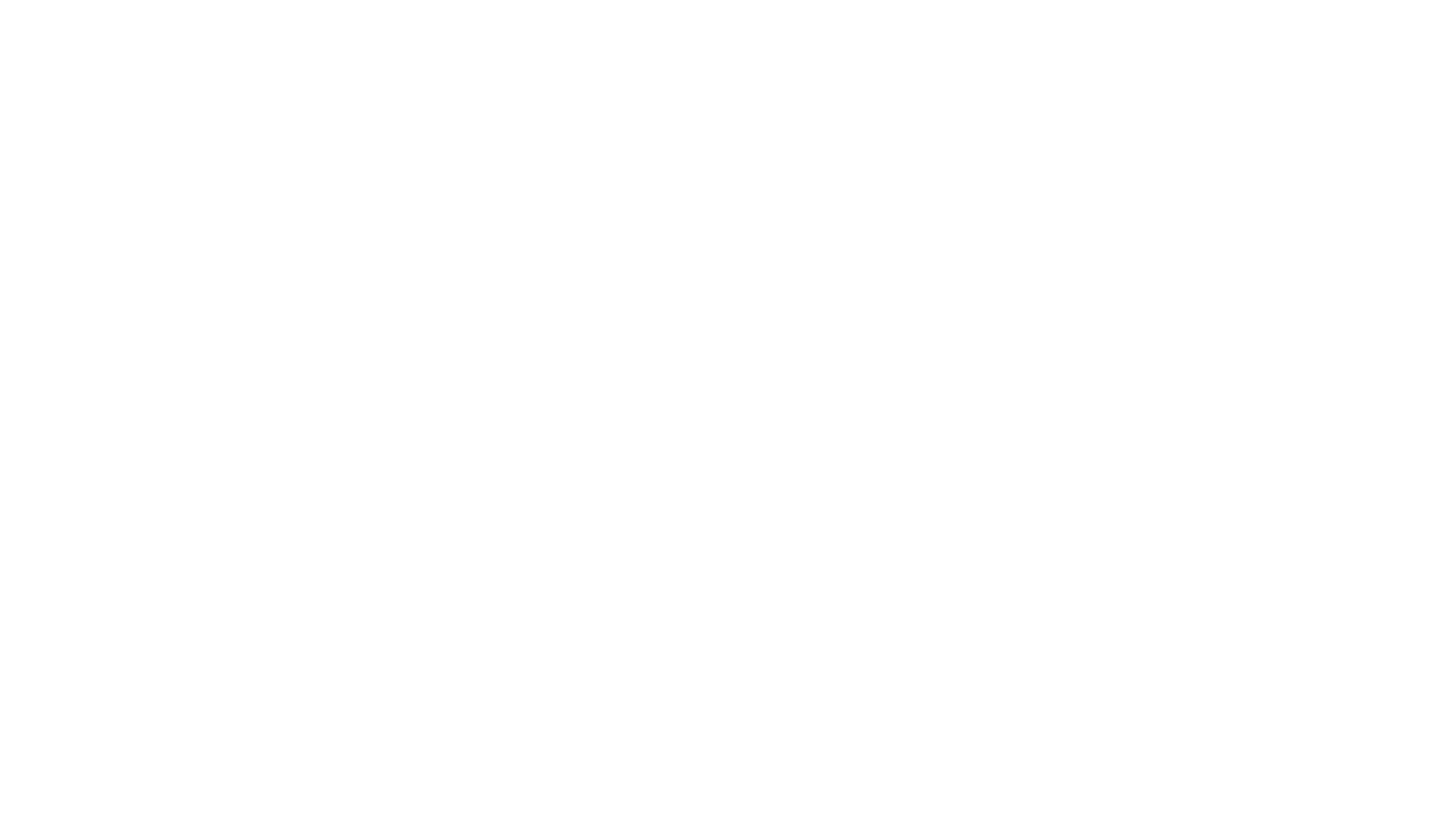 Conexão Jiu-Jitsu